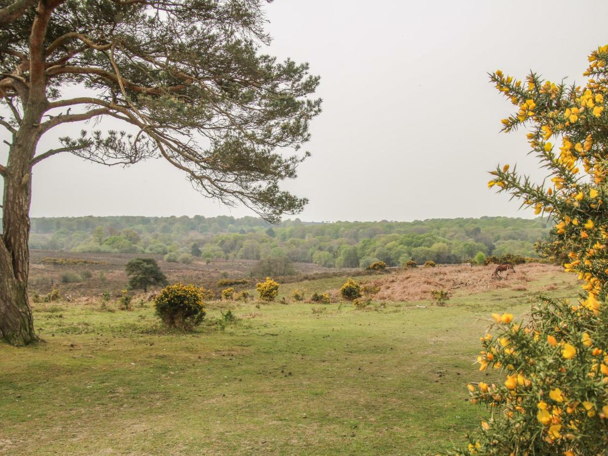 Orchard Annexe Villa Lymington Eksteriør billede